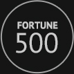 Fortune 500 icon