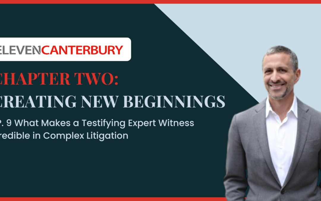 What Makes Testifying Expert Witnesses Credible in Complex Litigation?