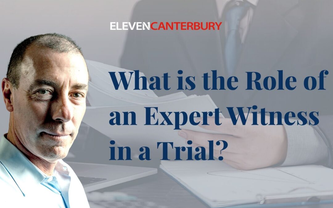 What is the Role of an Expert Witness in a Trial?